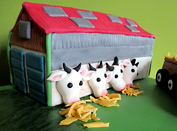 dort farma krávy