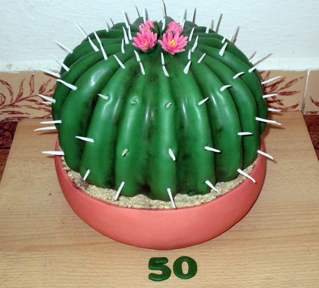 dort kaktus